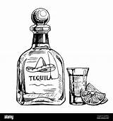 White tequila Black And Stock Photos & Images  Alamy sketch template