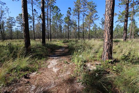 Silver Springs State Park Hiking Trails | Outdoor Project