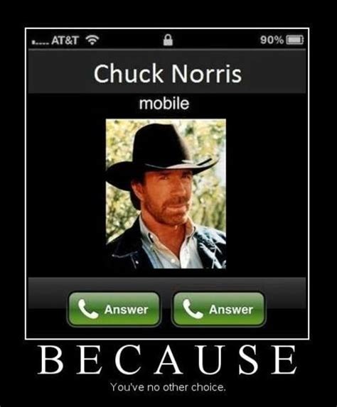 funny chuck norris memes - Chameleon Memes