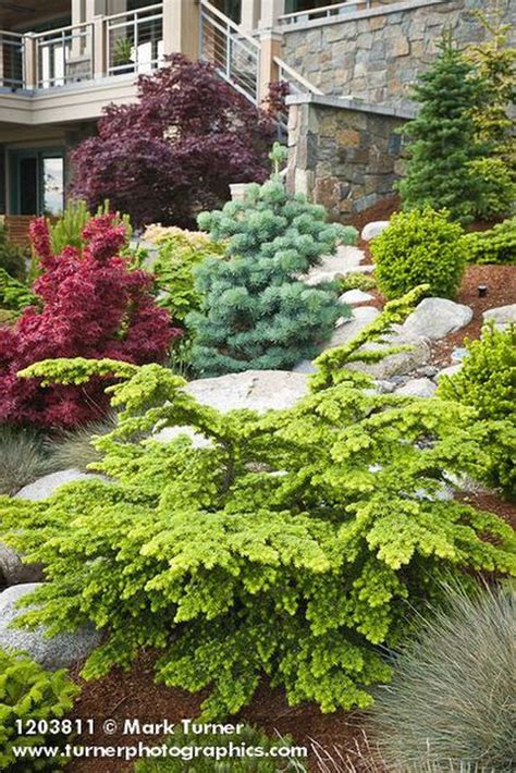 Front Yard Evergreen Landscape Garden 3 | Evergreen landscape, Front yard landscaping ...