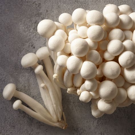 White beech mushroom - Oakfield Champignons - From Own Breed