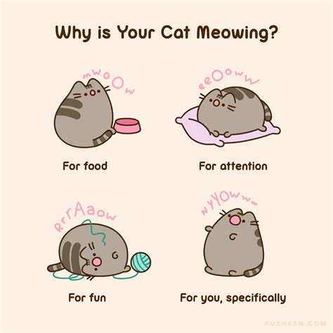 Pusheen : Why is Your Cat Meowing?