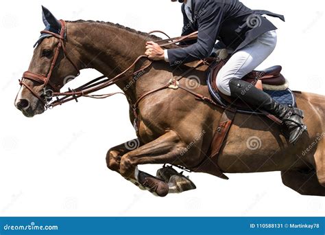 Equestrian Sports, Horse Jumping Event, Isolated on White Background Stock Image - Image of ...