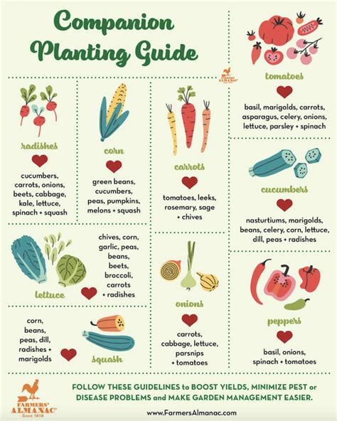 Seed Between The Lines With Companion Planting - Chickahominy Falls