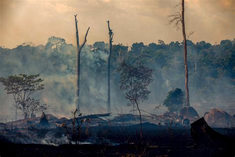 Climate Summit ‘Last Chance’ for Brazil to Show Leadership on Global Warming - Inside Climate News