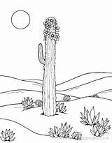 Cactus Coloring Pages  19 Free Printable sketch template