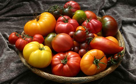 Organic Heirloom Tomato Seeds | Heirloom Tomatoes | TomatoFest