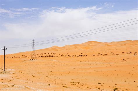 A guide to Liwa Oasis and the Moreeb dune - Against the Compass