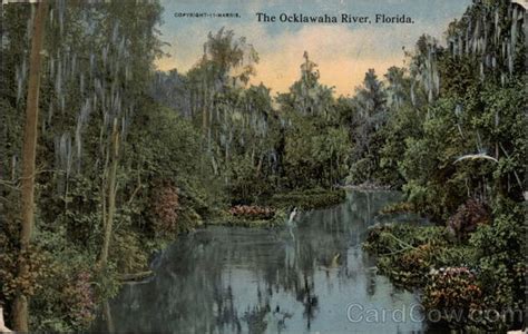 The Ocklawaha River Florida