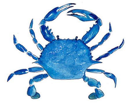 Download High Quality crab clipart blue Transparent PNG Images - Art ...