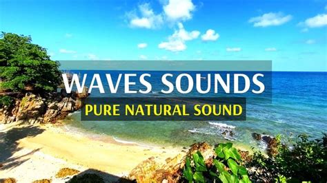 The Most Relaxing Waves Sounds For Sleep | 3 Hours Of Gentle Ocean ...