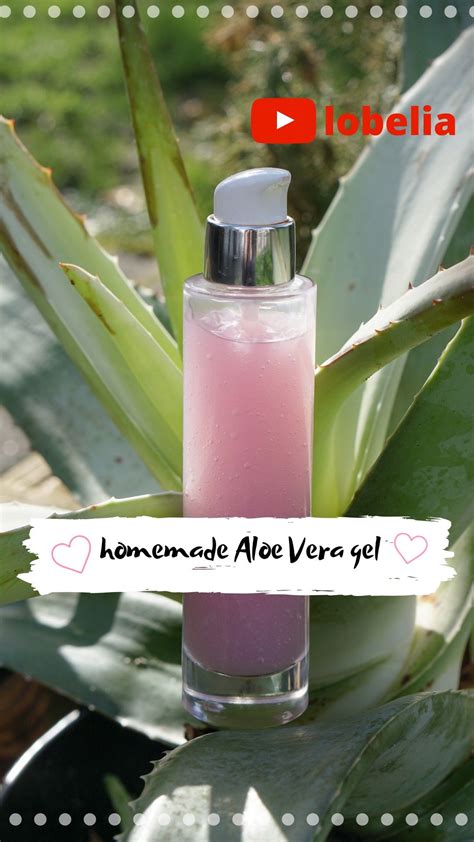 Homemade Aloe Vera gel / DIY | Aloe vera gel, Aloe vera, Aloe gel