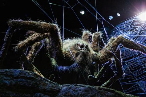 Flickriver: Most interesting photos tagged with acromantula