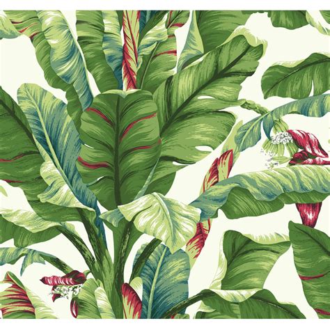 York Wallcoverings Tropics Banana Leaf Removable Wallpaper - Walmart ...