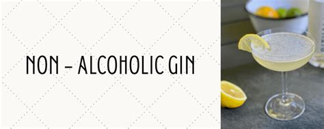 Non Alcoholic Gin Reviews - Master of Mocktails