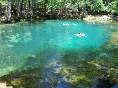 File:Manatee Springs State Park Florida springs05.jpg - Wikipedia, the ...