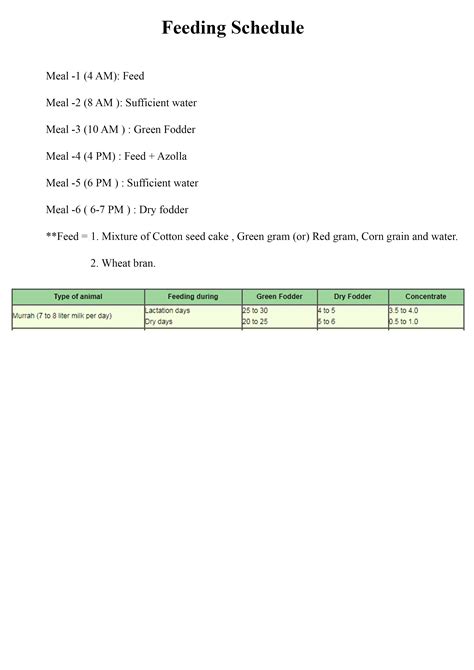 Feeding schedule - Chai Bisket