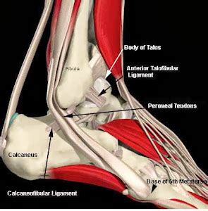 Peroneal Tendon Surgery Recovery: Surgery Eve