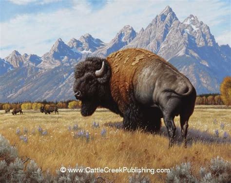 Limited Edition Prints 72 | Wildlife art, Bison art, Animal paintings