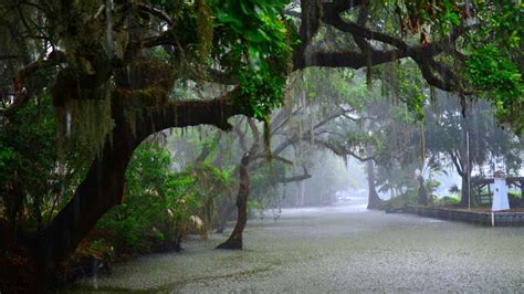 Monsoon Season in Uttar Pradesh | Best Places to Visit in Monsoon