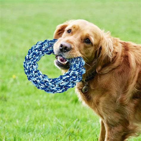 The 4 Best Toys for Big Dogs