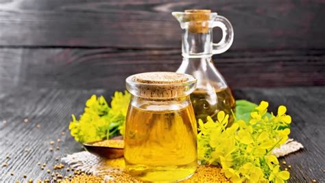 5 benefits of using mustard oil for hair | HealthShots