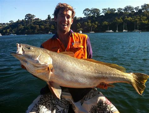 Midday Mulloway | Fishing - Fishwrecked.com - Fishing WA. Fishing Photos & Videos