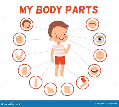 Poster for Children Learning. Cheerful Boy and His Body Parts in Separate Pictures Stock Vector ...