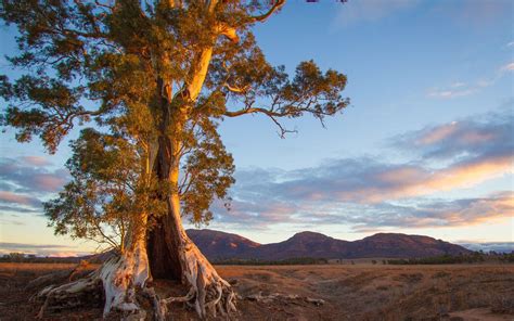 Australia Landscape Wallpapers - Top Free Australia Landscape ...