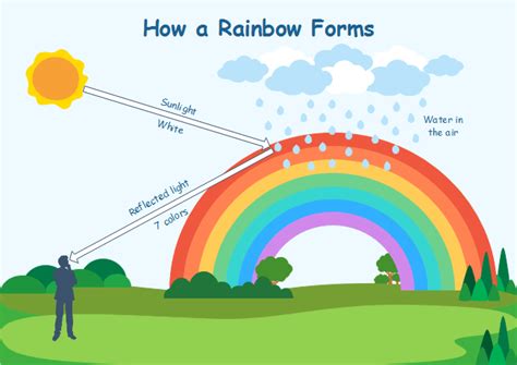 how a rainbow is formed - Google Search | Science education, Make ...