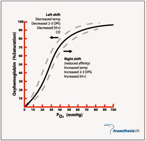 BIOLOGY: CHAPTER 7(b) - DISSOCIATION CURVE