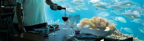 Underwater Restaurant in Maldives | Sea. | Anantara Kihavah