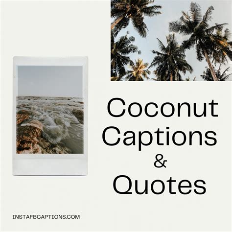 57 Coconut Captions and Quotes for Instagram in 2021 - Instafbcaptions