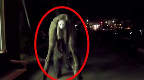 5 horrifying creatures caught real on camera! - YouTube