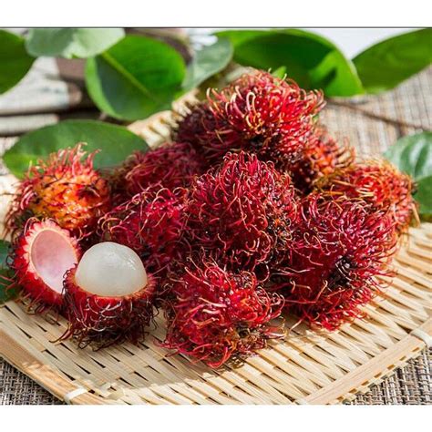 buy one get one free，50 seeds (not plants) Rambutan Seed Miracle Fruit Seeds Planting For Garden ...