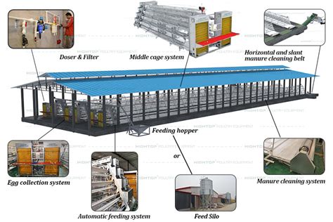 Fully Automatic Layer Poultry Farm Equipment for Chicken Farming