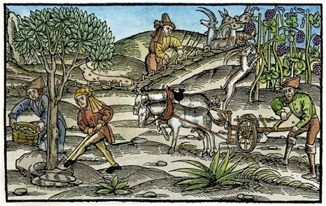 Posterazzi: Peasants Farming C1520 Npeasants Working The Fields In Autumn Woodcut German C1520 ...