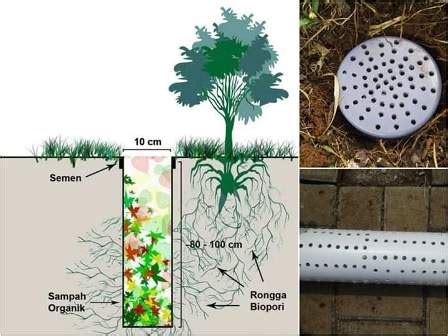 Temukan Cara Sederhana Memasukkan Sampah Organik ke Lubang Biopori!