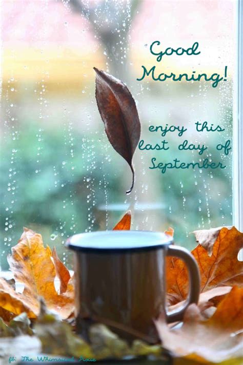 Love a gentle rain. | Last day of september quotes, September quote, Good morning