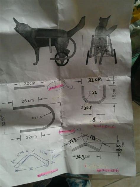 8 Dog DIY Wheelchair Plans: Learn How to Build A Dog Wheelchair!