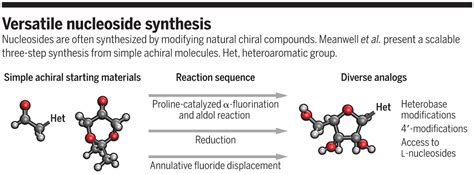 Unifying the synthesis of nucleoside analogs | Science