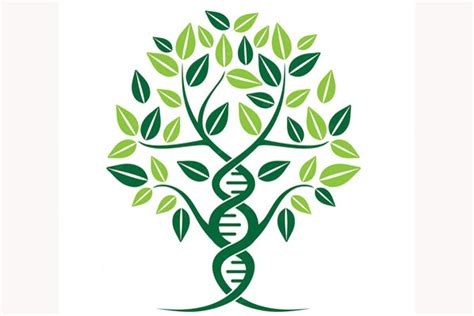 Managing DNA Matches in Family Tree Maker | Genealogical Society of Victoria