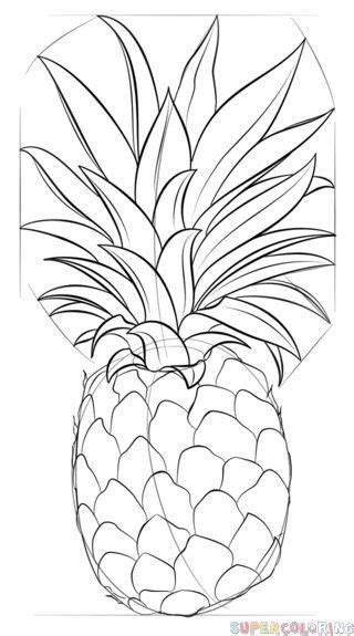 How To Draw A Pineapple Outline - Draw Easy