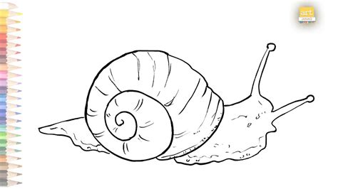 Snail Drawing Outline