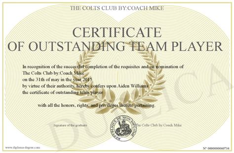 certificate of outstanding team player