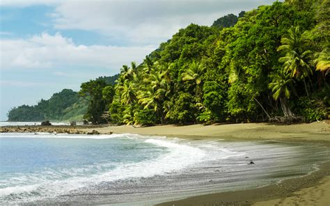 Corcovado National Park Activities and Wildlife - El Castillo