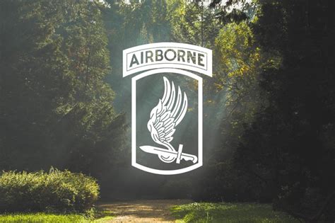 173rd Airborne Brigade Sky Soldiers Decal Vinyl | Etsy