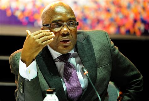 Minister Motsoaledi Calls for Recommendations on Immigration Control Bill, South Africans ...