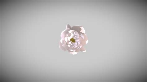 Lotus Flower Blooming Animation - Download Free 3D model by theruletik [771bfb8] - Sketchfab