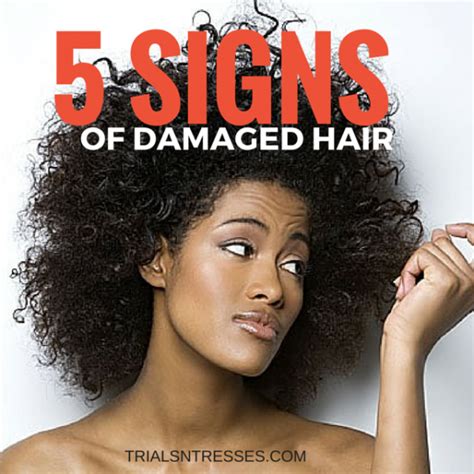 5 Signs Of Damaged Natural Hair - Millennial in Debt